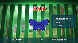 画像ギャラリー No.013のサムネイル画像 / 「なつもん! 20世紀の夏休み」,クエスト要素の“冒険”やアイテム,サーカス団の演出に関する情報を公開