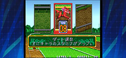 ステークスウィナー アケアカNEOGEO