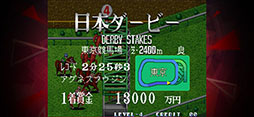 ステークスウィナー アケアカNEOGEO