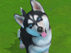 ［プレイレポ］かわいい子犬たちと一緒に島を開拓していく「LITTLE FRIENDS 〜PUPPY ISLAND〜」を先行プレイ！