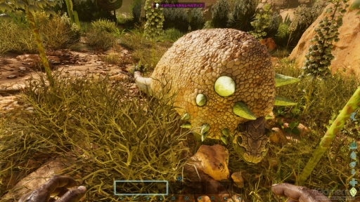 画像ギャラリー No.026のサムネイル画像 / ゴールデンウィークは「ARK: Survival Ascended」でグランピング的に優雅なキャンプ体験を。レジャー気分で楽しめる恐竜島探索のご提案