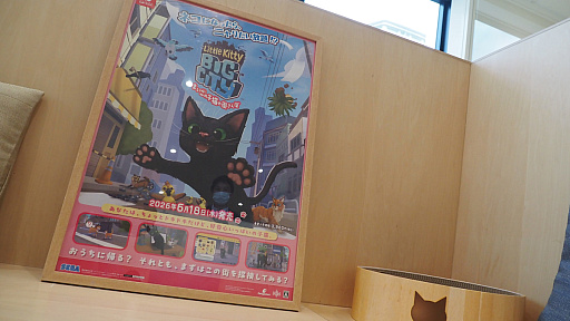 画像ギャラリー No.004のサムネイル画像 / 猫カフェ「Cat Café MOFF グランベリーパーク店」レビュー