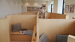 画像ギャラリー No.006のサムネイル画像 / 猫カフェ「Cat Café MOFF グランベリーパーク店」レビュー