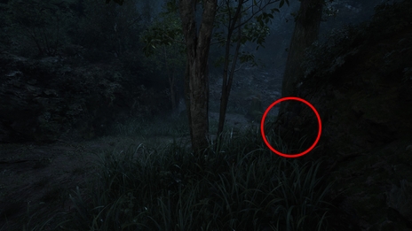 画像ギャラリー No.004のサムネイル画像 / 君はカムフラージュを見破れるか!?「METAL GEAR SOLID Δ: SNAKE EATER」のフォトモードで撮影した画像からスネークを探せ