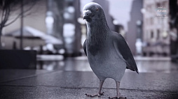 画像ギャラリー No.002のサムネイル画像 / 鳩が首を振っているのは音楽でノリノリだからって知ってた？ バトロワ×リズムACT×鳩のゲーム「Headbangers: Rhythm Royale」が発表に