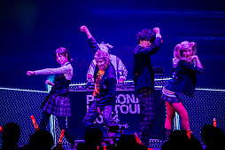 画像ギャラリー No.005のサムネイル画像 / 「ペルソナ」シリーズの2024年音楽ライブツアー横浜公演(夜公演)を収録するBlu-rayが本日発売。ライブ音源の配信もスタート