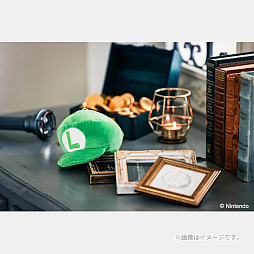 画像ギャラリー No.003のサムネイル画像 / 「ルイージ」の帽子ぬいぐるみポーチと,「テレサ」のルームライトが付属するムック本が宝島社から6月25日に発売