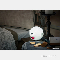 画像ギャラリー No.007のサムネイル画像 / 「ルイージ」の帽子ぬいぐるみポーチと,「テレサ」のルームライトが付属するムック本が宝島社から6月25日に発売