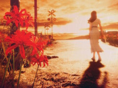 1980年代の日本が舞台の一人称ホラー「ウツロマユ - Hollow Cocoon -」のSteamストアページ公開。村の風景には，懐かしさと不気味さが漂う