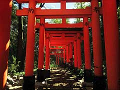 世界中の風光明媚な土地をめぐって写真を撮るシミュレーション「Lushfoil Photography Sim」，日本の景色も確認できるトレイラーを公開
