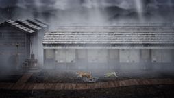 雨魂 - AMEDAMA -