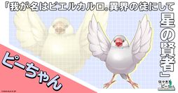 佐々木とピーちゃん ミッドライフレボリューション