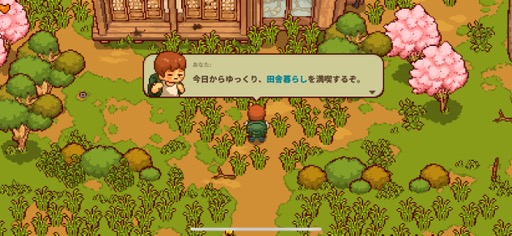 画像ギャラリー No.007のサムネイル画像 / 田舎暮らしは案外忙しい!? 「にほんの田舎ぐらし」で自ら作り出したものに囲まれて,心豊かな生活を楽しもう(今日から始めろApple Arcade #23)