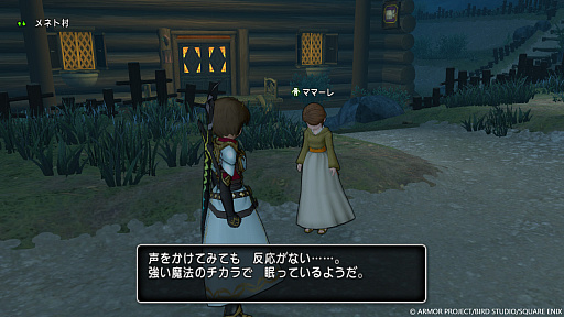 画像ギャラリー No.006のサムネイル画像 / 「ドラゴンクエストX 未来への扉とまどろみの少女 オンライン」,果ての大地ゼニアスにある,村民が立ったまま眠りについたメネト村を紹介