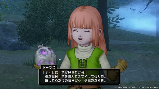 画像ギャラリー No.008のサムネイル画像 / 「ドラゴンクエストX 未来への扉とまどろみの少女 オンライン」,果ての大地ゼニアスにある,村民が立ったまま眠りについたメネト村を紹介