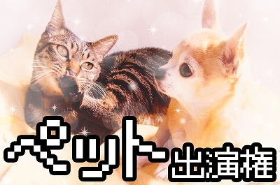画像ギャラリー No.006のサムネイル画像 / “野田AI”の質問に答えるだけで野田ゲーが自動生成される。野田ゲープロジェクト第3弾「スーパー野田ゲーMAKER」始動