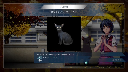 画像ギャラリー No.032のサムネイル画像 / ［プレイレポ］「サガ エメラルド ビヨンド」綱紀編，ディーヴァ編，アメイヤ編の序盤を紹介。バトルはTL上の駆け引きと連携を組む楽しさが両立