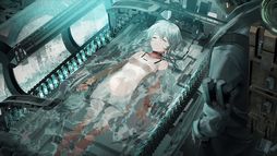 終のステラ