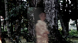 死写 -SHISYA-