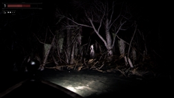 画像ギャラリー No.005のサムネイル画像 / 不気味な湖を舞台にした「Drowned Lake」,Steamストアページを公開。ブラジルの神話からインスピレーションを得たホラーフィッシング