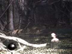 不気味な湖を舞台にした「Drowned Lake」，Steamストアページを公開。ブラジルの神話からインスピレーションを得たホラーフィッシング