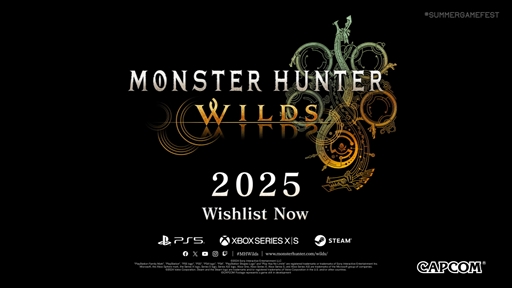 画像ギャラリー No.008のサムネイル画像 / 「モンスターハンターワイルズ」，プロモーションムービー第2弾を公開。砂漠で新モンスターを狩猟するシーンが収録