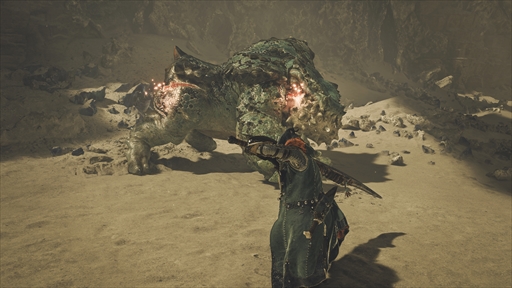 画像ギャラリー No.007のサムネイル画像 / 「モンスターハンターワイルズ」での狩りは新たな領域へ。シームレスに続く狩猟,変化する環境,武器交換など,新情報満載のプレゼンを紹介