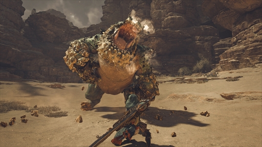 画像ギャラリー No.011のサムネイル画像 / 「モンスターハンターワイルズ」での狩りは新たな領域へ。シームレスに続く狩猟,変化する環境,武器交換など,新情報満載のプレゼンを紹介