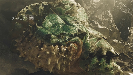 画像ギャラリー No.027のサムネイル画像 / 「モンスターハンターワイルズ」第2回オープンβテストの前半が,バチバチイケジョを作り出したキャラクタークリエイトで終わってしまった懺悔の話