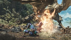 画像ギャラリー No.014のサムネイル画像 / 「モンスターハンターワイルズ」，ストーリー紹介トレイラーを公開。危険な領域「禁足地」と，そこに至るまでの物語をチェックしよう