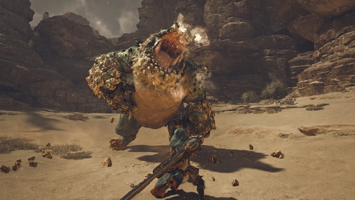画像ギャラリー No.016のサムネイル画像 / 「モンスターハンターワイルズ」の最新トレイラーが公開に。ハンターの戦闘シーンや新システムらしき行動も確認できる