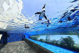 画像ギャラリー No.009のサムネイル画像 / 「アクアリウムは踊らない」がサンシャイン水族館とコラボ。体験型ホラー水族館を10月10日から夜間限定で開催