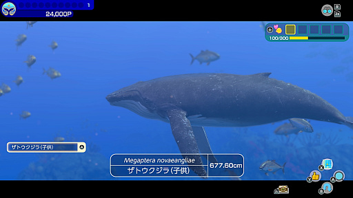 画像ギャラリー No.011のサムネイル画像 / ダイビングアドベンチャーシリーズの最新作「FOREVER BLUE LUMINOUS」,5月2日にリリース。最大30人のオンラインプレイに対応