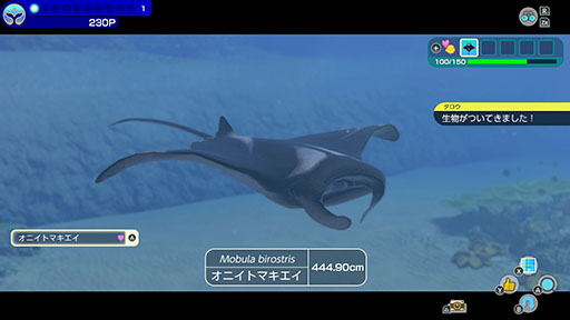 画像ギャラリー No.005のサムネイル画像 / ダイバーとなって海域を泳ぎ，500種類以上の生き物と出会える「FOREVER BLUE LUMINOUS」，公式サイトを公開。各種機能の紹介も