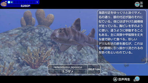 画像ギャラリー No.007のサムネイル画像 / ダイバーとなって海域を泳ぎ，500種類以上の生き物と出会える「FOREVER BLUE LUMINOUS」，公式サイトを公開。各種機能の紹介も