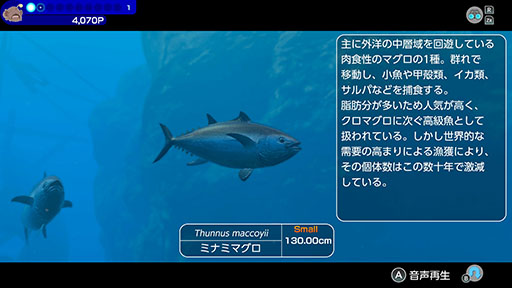 画像ギャラリー No.008のサムネイル画像 / ダイバーとなって海域を泳ぎ，500種類以上の生き物と出会える「FOREVER BLUE LUMINOUS」，公式サイトを公開。各種機能の紹介も