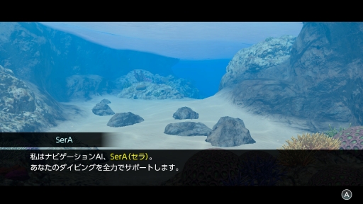 画像ギャラリー No.012のサムネイル画像 / ［プレイレポ］「FOREVER BLUE LUMINOUS」で神秘的なダイビング体験を。ベールド海での海中散歩は驚きと出会いに満ちていた