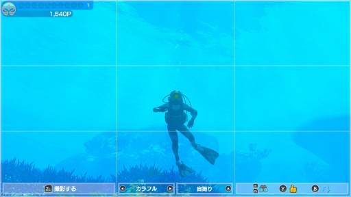 画像ギャラリー No.032のサムネイル画像 / ［プレイレポ］「FOREVER BLUE LUMINOUS」で神秘的なダイビング体験を。ベールド海での海中散歩は驚きと出会いに満ちていた