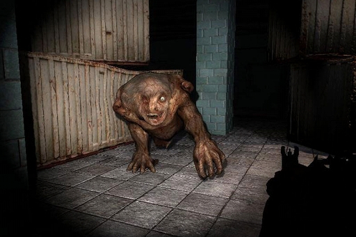 画像ギャラリー No.008のサムネイル画像 / 「S.T.A.L.K.E.R.: Legends of the Zone Trilogy」，危険区域「ゾーン」を徘徊するミュータントの情報を公開。対抗手段を把握して生き残れ