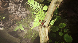 画像ギャラリー No.004のサムネイル画像 / 超リアル蟻シム「蟻の帝国-Empire of the Ants」，ローンチトレイラーを公開。蟻のコロニーを率いて，さまざまな難関を乗り越えていこう！