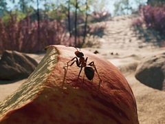 リアルフォトな世界でアリ界の救世主となって冒険する。RTS「蟻の帝国-Empire of the Ants」，PS5向けに12月12日発売