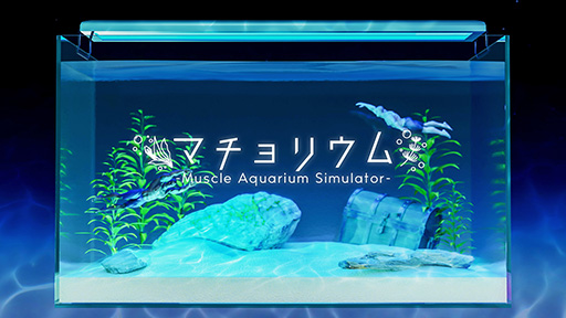 画像ギャラリー No.006のサムネイル画像 / 水槽でマッチョを飼育する癒し系（？）サンドボックスゲーム「マチョリウム -Muscle Aquarium Simulator-」，本日リリース
