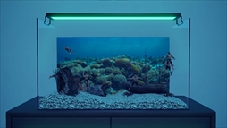 マチョリウム -Muscle Aquarium Simulator-