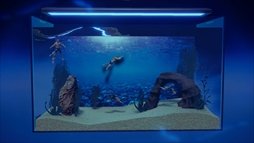 マチョリウム -Muscle Aquarium Simulator-