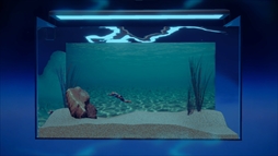 マチョリウム -Muscle Aquarium Simulator-