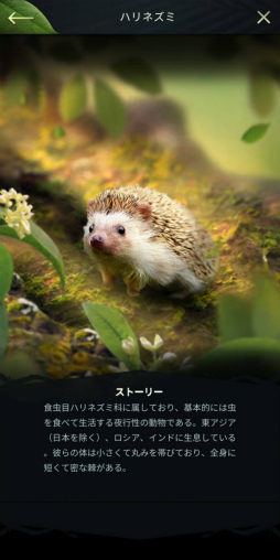 画像ギャラリー No.027のサムネイル画像 / ［プレイレポ］多種多様な動物や恐竜を従え，勢力を拡大！　コツコツプレイが楽しい戦略SLG「キング・オブ・ビースト：新世界」