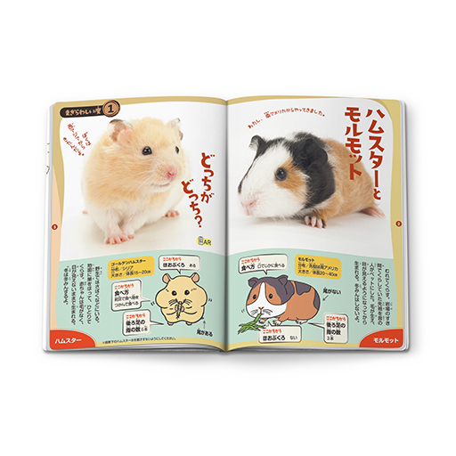 画像ギャラリー No.016のサムネイル画像 / 「ポケモンフレンダ」「ポケピ―ス」のハッピーセット，マクドナルドにて2月24日から発売。フレンドピックやオリジナルブックがもらえる