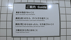 画像ギャラリー No.013のサムネイル画像 / 「8番出口」がNintendo Switchで本日配信。異変を見つけたら引き返し,8番出口を目指せ
