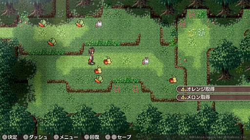 画像ギャラリー No.005のサムネイル画像 / PC版「不思議の国の冒険酒場」，5月9日にSteamで配信開始。プレイデータを製品版に引き継げる体験版を配信中