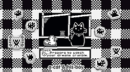 猫とその子供